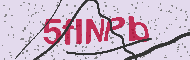 Captcha認証コード
