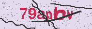 Captcha認証コード