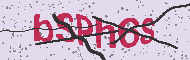 Captcha認証コード
