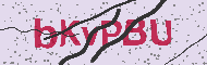 Captcha認証コード
