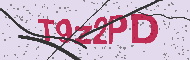 Captcha認証コード