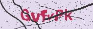 Captcha認証コード