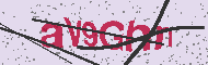 Captcha認証コード