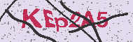 Captcha認証コード