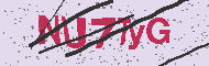 Captcha認証コード