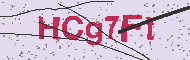 Captcha認証コード