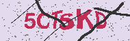 Captcha認証コード