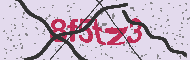 Captcha認証コード