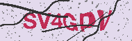Captcha認証コード