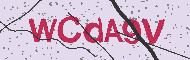Captcha認証コード